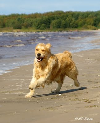 05 running on the beach