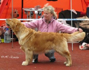 Alibren Shear Spirit Alibren Shear Spirit