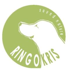 cropped-Ringokris03022013-roheline-logo Ringokris Goldens