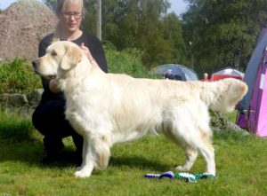 rummi seisukas hea 1