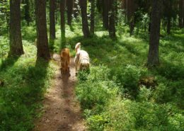 Freddy 3 koos Alviniga