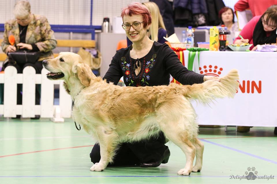 120512498_1653037988203696_1113602894001021197_n