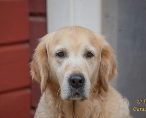 120541369_1653041148203380_6018560209025355000_o