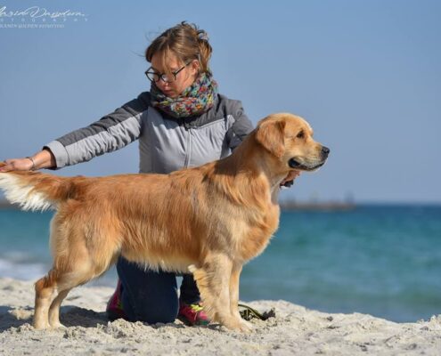 120747915_1653038421536986_1967150207934742665_n