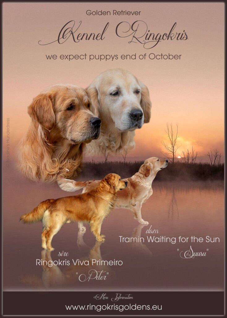 122233755_376119253796519_2988057286613085514_n