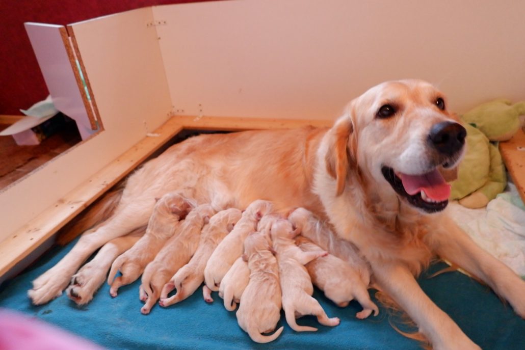 50160309_2164596473584112_3089447195229814784_o