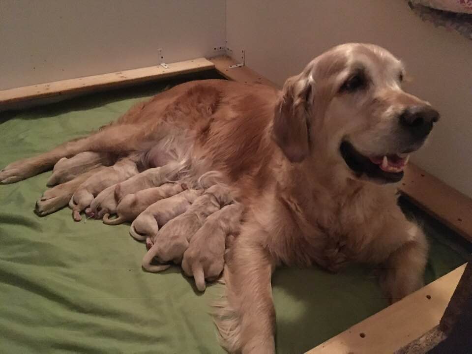 50108016_10156781419103080_5348031480989745152_n