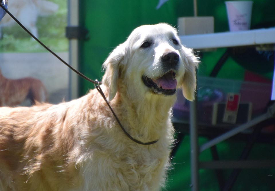 62017938_1229736833867149_3504534940911927296_n