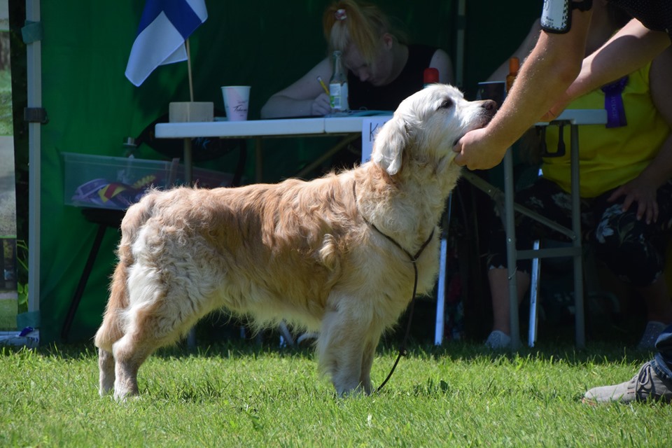 62083761_1229733477200818_1577646212008378368_n