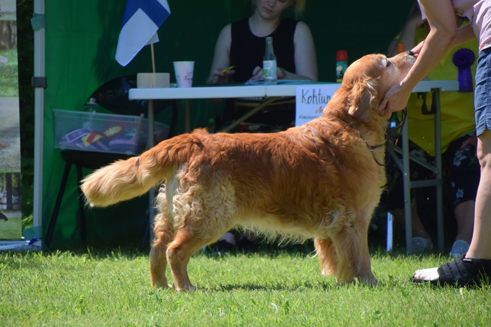 62086587_1229734700534029_4324284867316547584_n