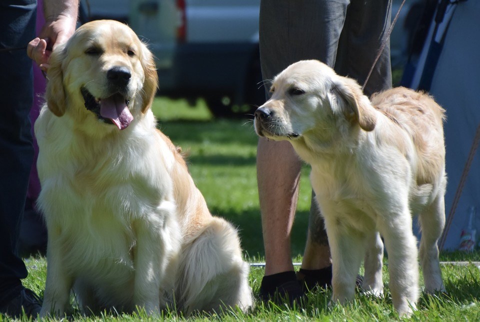 62088846_1229737587200407_4168352712380907520_n