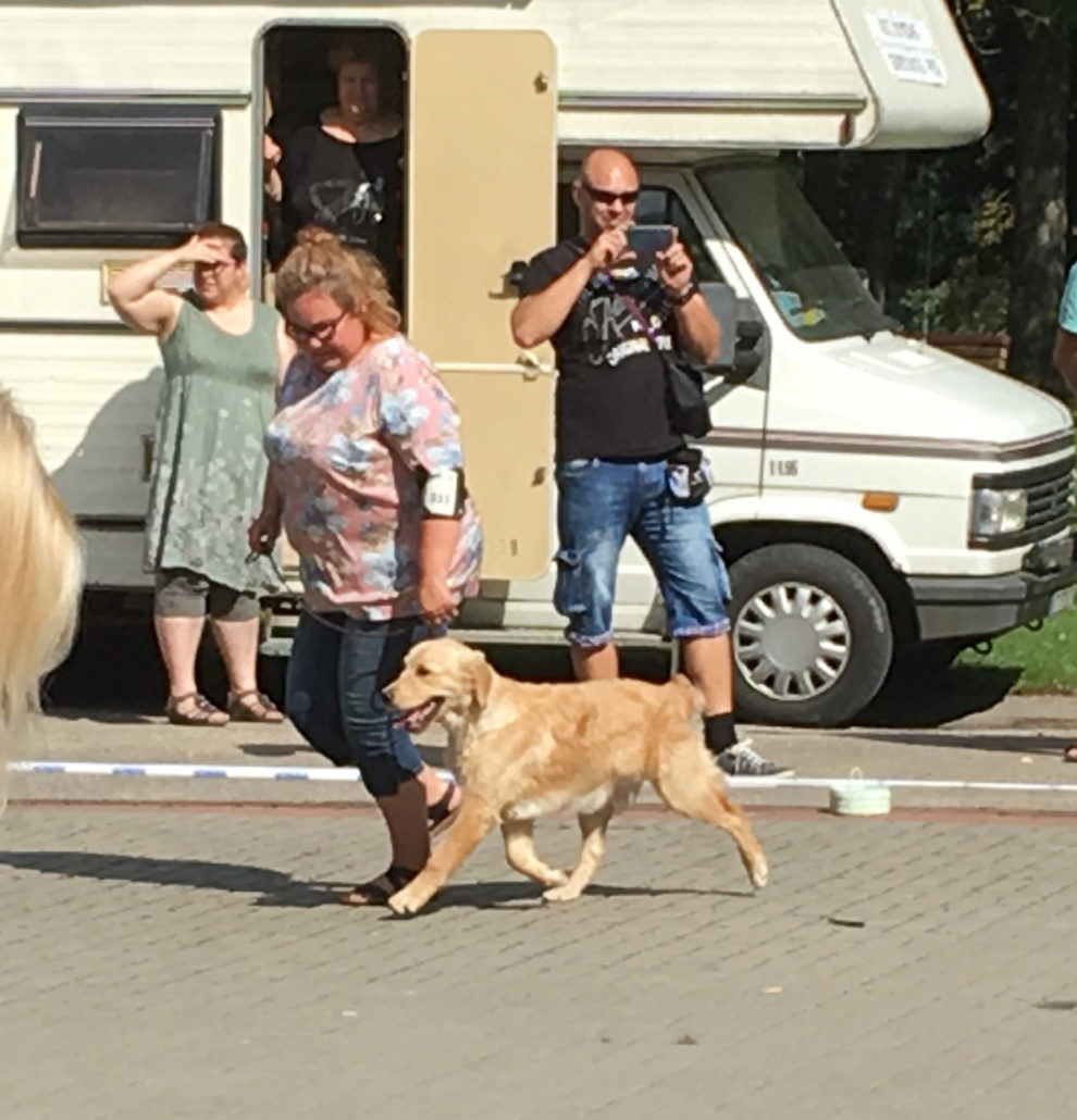 RK Melian Lorelie in best puppy competition