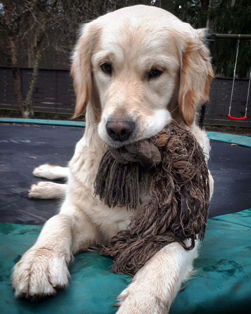 IMG_20200126_152123_463