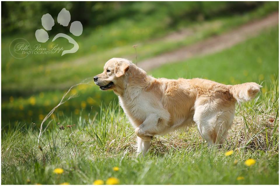 135861043_3787257734651303_150061494008571270_n