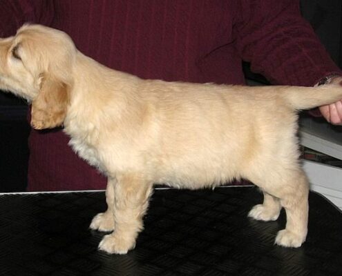 185798271_1833922823448544_1936507234308828384_n