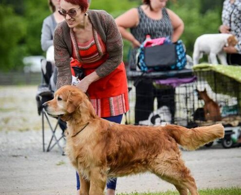 185849560_1833937003447126_4455653201255418042_n