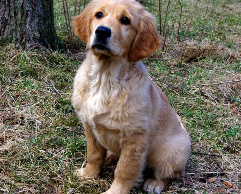 185902986_1833923000115193_5863018287724431784_n