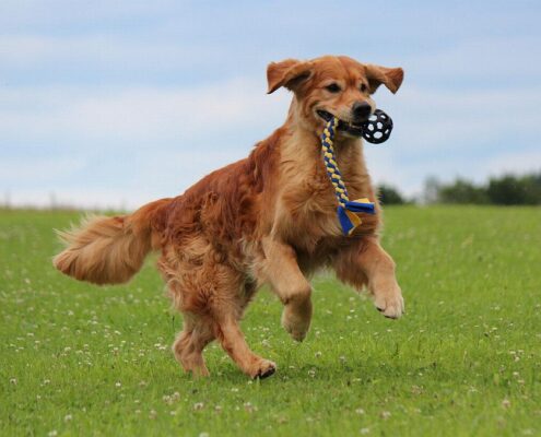 185950258_1833910103449816_8800270188220876845_n