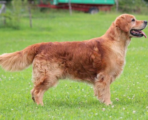 185955793_1833910133449813_6064488499764080514_n