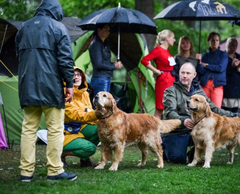 186240796_1833923850115108_3903260334373231162_n