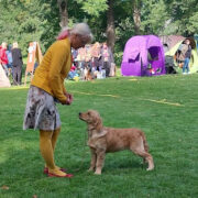 Olku tytar Rogerwiek Dark Chocolate 3