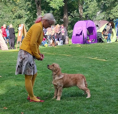 Olku tytar Rogerwiek Dark Chocolate 3