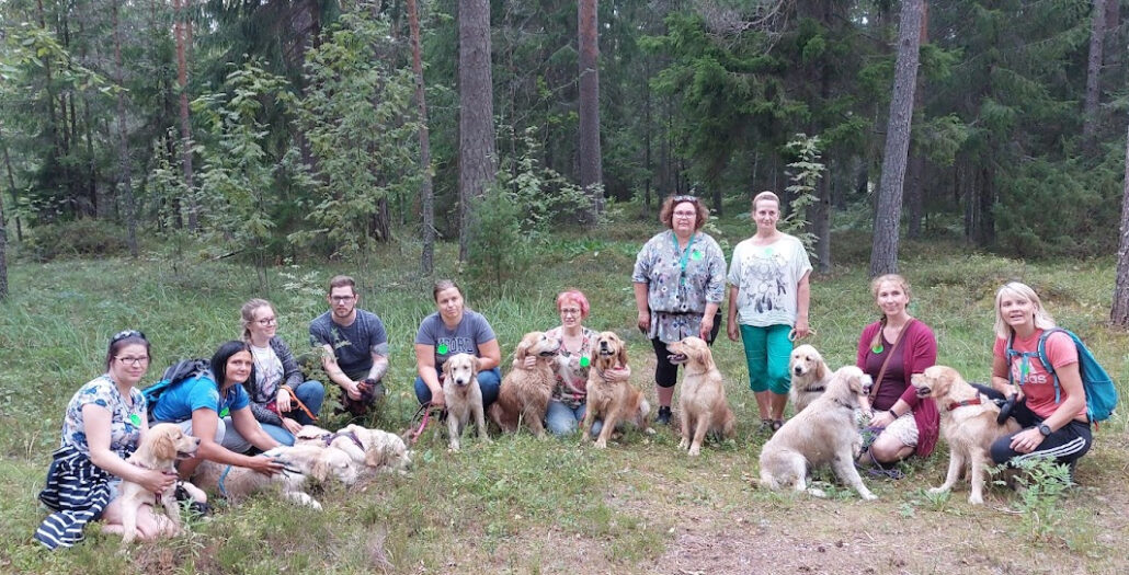 Ringokrisi kokkutulek 31.07.21